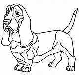 Basset Hound To Print Coloring Page  Free Printable Pages For sketch template