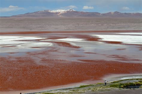 Laguna Colorada Map - Potosí, Bolivia - Mapcarta