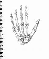 Skeleton Hand Drawing Coloring Pages sketch template