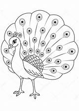 Coloring Pages  Peacock For Preschoolers sketch template