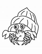 Hermit Crab Coloring Page sketch template