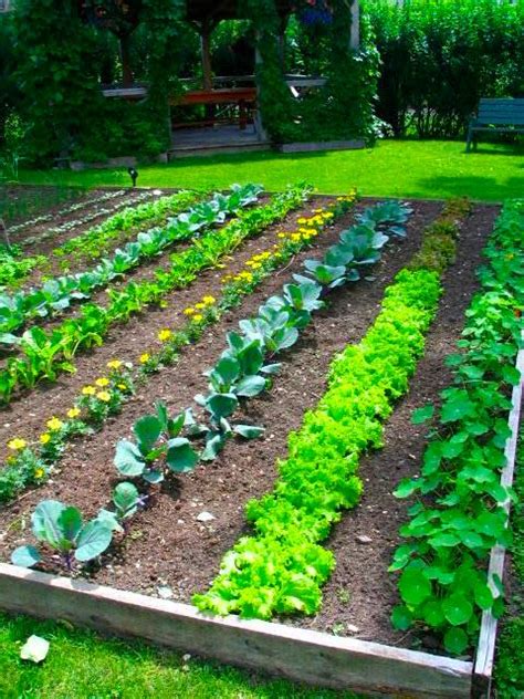 Vegetable Garden Tips in CT | Spring Vegetable Gardening | Winterberry Gardens