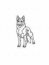 German Shepherd coloring Pages sketch template