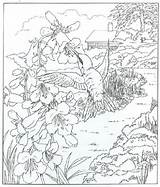Realistic Coloring Pages For Adults At GetColoringscom  Free sketch template