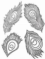 Peacock Feather Coloring Pages For Adults sketch template