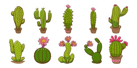 colección de plantas de cactus 964044 Vector en Vecteezy