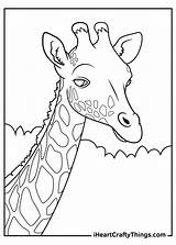 15 Realistic Animals Coloring Pages 100% Free Printables sketch template
