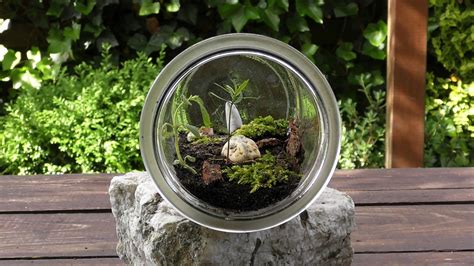 Terrarium Biosphere Habitat Eco - Free photo on Pixabay - Pixabay