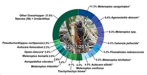 grasshopper species sample - Entomology Today