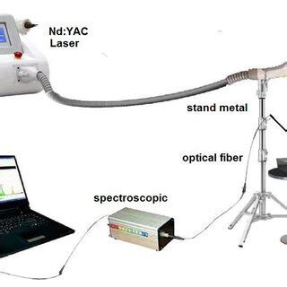 Diagrammatic representation of LIBS system. | Download Scientific Diagram