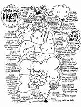 Human Organs Coloring Sheets Pages sketch template