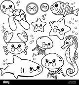Aquatic Animals Coloring Pages sketch template