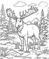 moose Jungle coloring page For Adults 27969868 Vector Art At Vecteezy sketch template