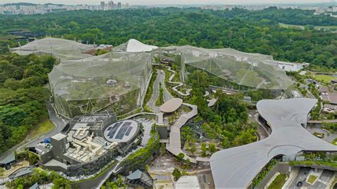 Bird Paradise set to open up in Singapore - Travel Turtle