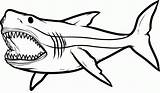 Free Printable Shark Coloring Pages  Home sketch template