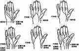 手背神经  钟世镇现代临床解剖学 sketch template