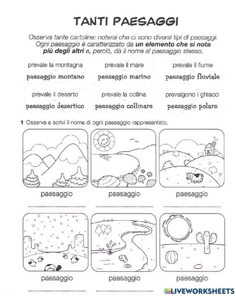 Tanti paesaggi worksheet | Attività geografia, Geografia, Letteratura per l'infanzia