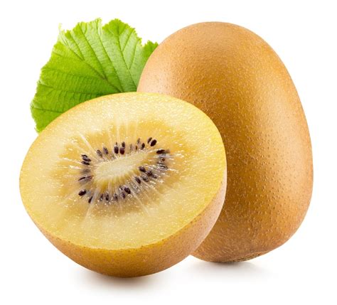 ACTINIADIA CHINENSIS GOLDEN KIWI FRUIT 140MM | The Garden Feast