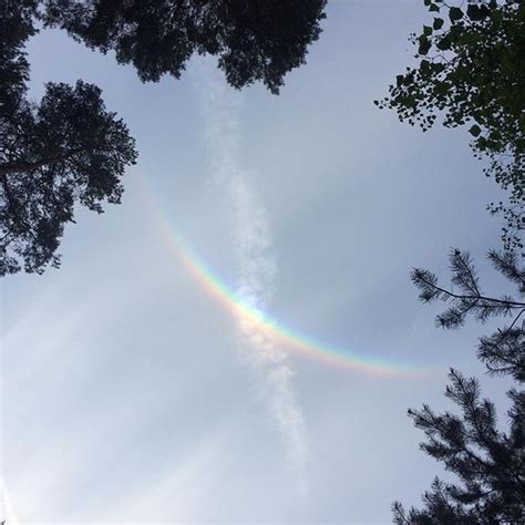 A stunning and unusual spectacle in the forest this evening: an upside down rainbow anyone ever ...