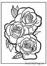 Free Printable Coloring Pages Of Roses sketch template