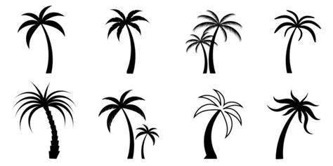 Palm Tree Black And White Outline