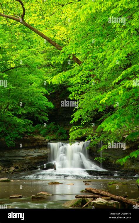 McCormick's Creek Canyon Falls, McCormick's Creek State Park, Indiana Stock Photo - Alamy