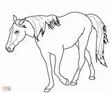 Quarter Horse Running Coloring Pages sketch template