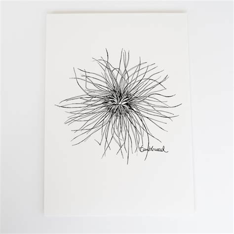 Tumbleweed Art Print – Tumbleweed Tees