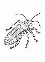 20  Cockroach Coloring Pages Free Printable PDF & Online Coloring sketch template