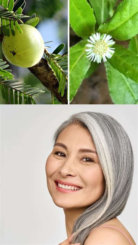 How To Use Amla Bhringraj Powder For Grey Hair