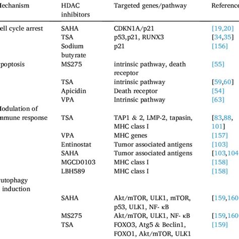 Mechanism of anti-cancer activity of HDAC inhibitors. | Download ...