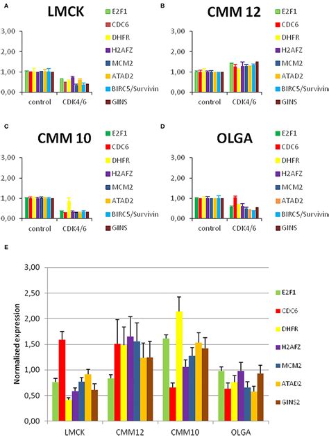 Frontiers | H2AFZ: A Novel Prognostic Marker in Canine Melanoma and a Predictive Marker for ...