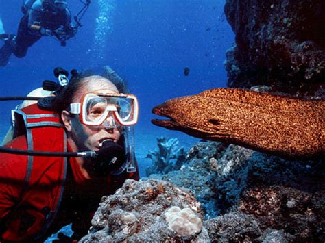 Florida Keys Key Largo Diving and Snorkling