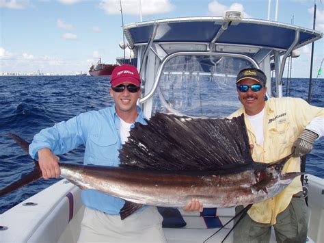 Sailfish Fishing Charter Trips | Miami & South Florida