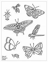 11  Awesome Insect Coloring sketch template