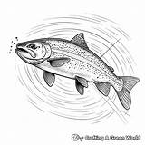 Trout Coloring Pages  Free & Printable sketch template