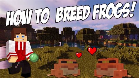 Minecraft 1.19 How to Breed Frogs - YouTube