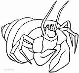 17 hermit crab coloring Page sketch template