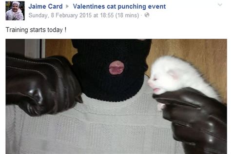 Cat Punching in pictures: The images which shocked animal lovers ...