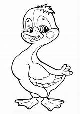 Baby Goose Coloring Pages sketch template