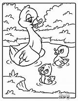 Duck Coloring Pages Free PDF Printables  Simply Love sketch template