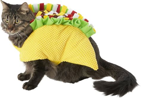 Frisco Taco Cat Costume | Best Cat Costumes For Halloween 2020 ...