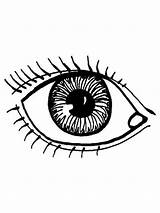 Eyes coloring Pages sketch template