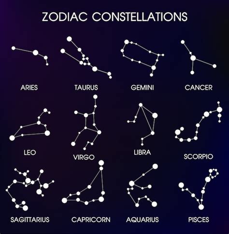 Premium Vector | The twelve zodiacal constellations.