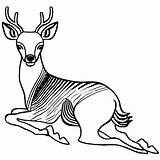 Deer Coloring Page · Creative Fabrica sketch template