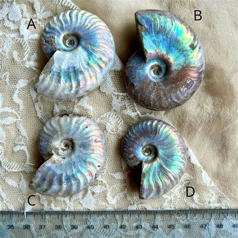 Opalized Ammonite Necklace - One of a Kind | Giardinoblu Jewelry