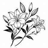 Premium Vector  Coloring Page lily flower sketch template