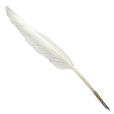 Feather Quill Writing