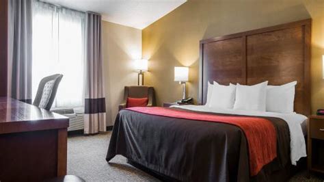 Last Minute Discount at Comfort Inn Glenmont | HotelCoupons.com