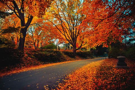 Peaceful Autumn by MyLifeThroughTheLens on DeviantArt